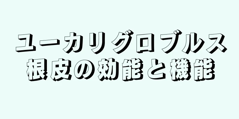 ユーカリグロブルス根皮の効能と機能