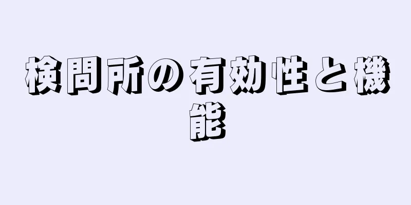 検問所の有効性と機能