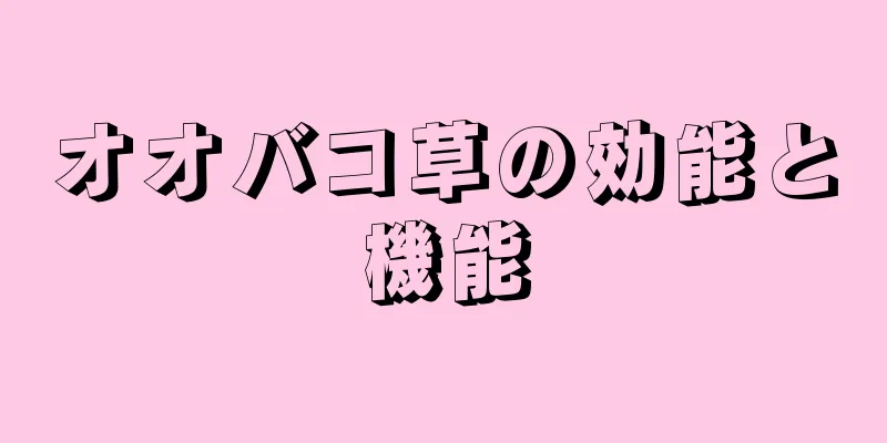 オオバコ草の効能と機能