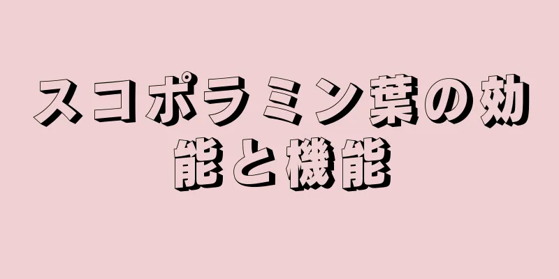 スコポラミン葉の効能と機能