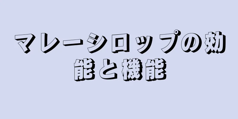 マレーシロップの効能と機能