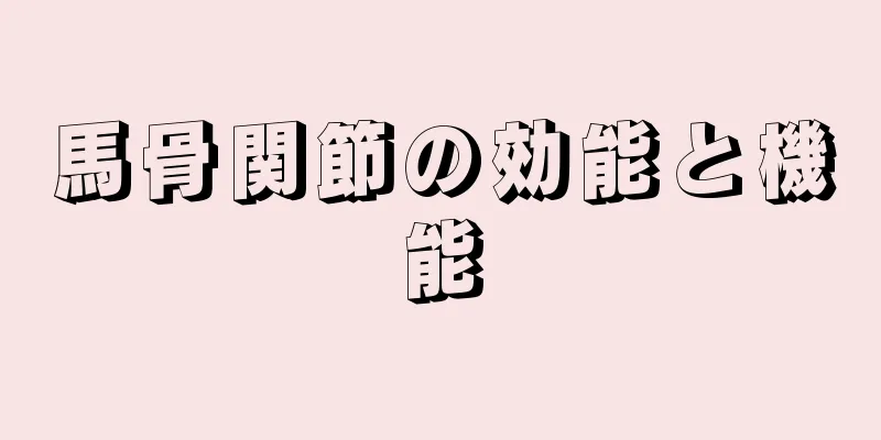 馬骨関節の効能と機能