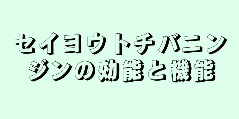 セイヨウトチバニンジンの効能と機能