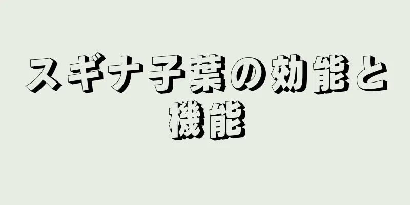 スギナ子葉の効能と機能