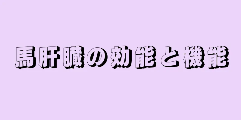 馬肝臓の効能と機能