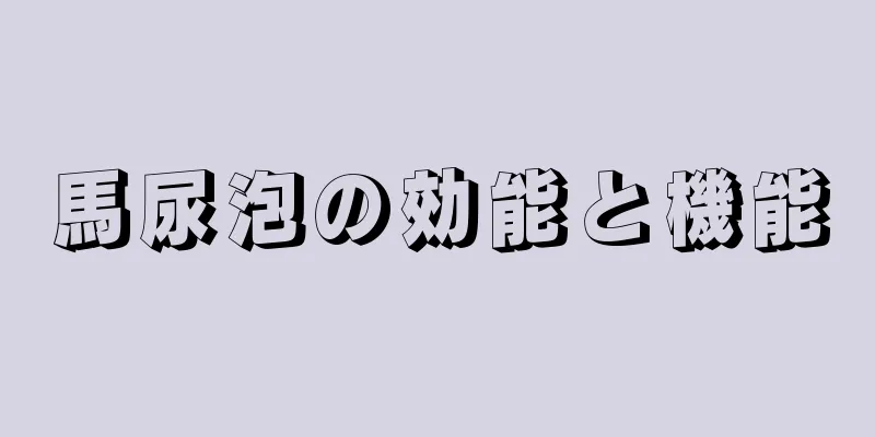 馬尿泡の効能と機能