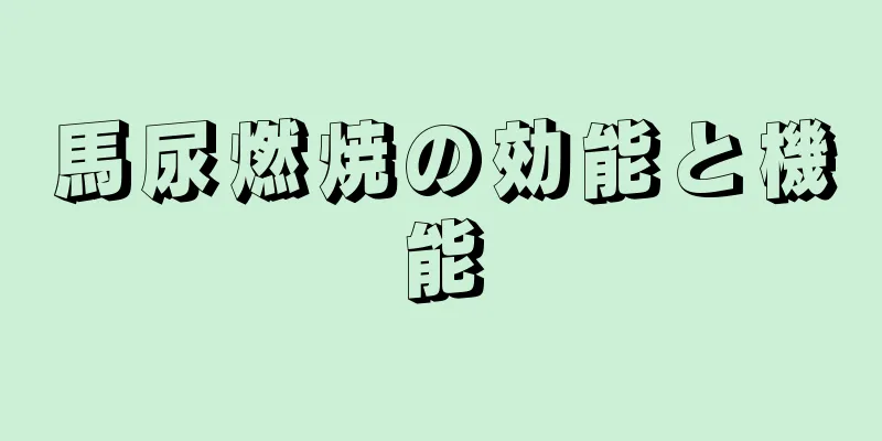 馬尿燃焼の効能と機能
