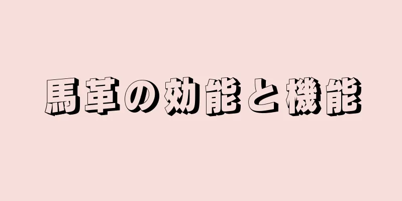馬革の効能と機能