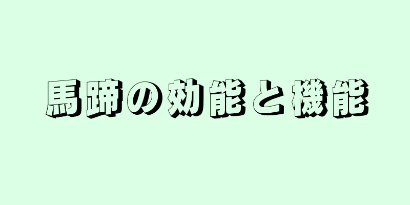 馬蹄の効能と機能