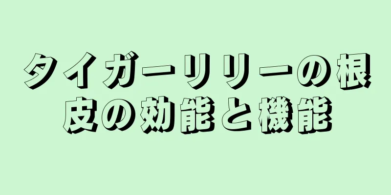 タイガーリリーの根皮の効能と機能