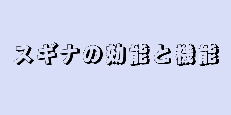 スギナの効能と機能