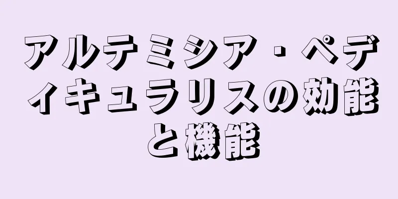 アルテミシア・ペディキュラリスの効能と機能