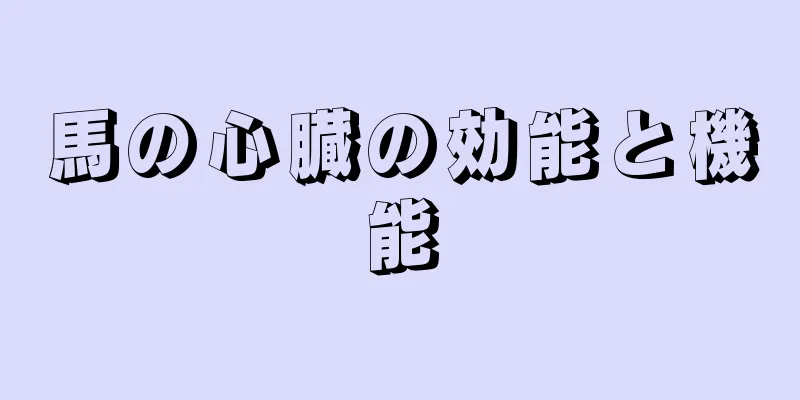 馬の心臓の効能と機能