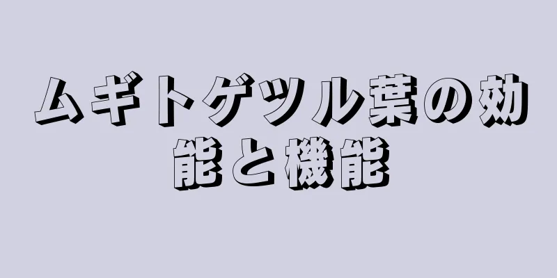ムギトゲツル葉の効能と機能