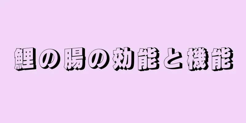 鯉の腸の効能と機能