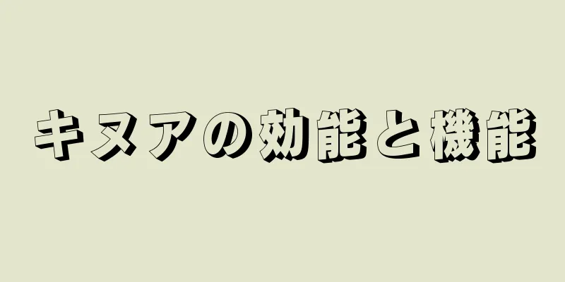 キヌアの効能と機能