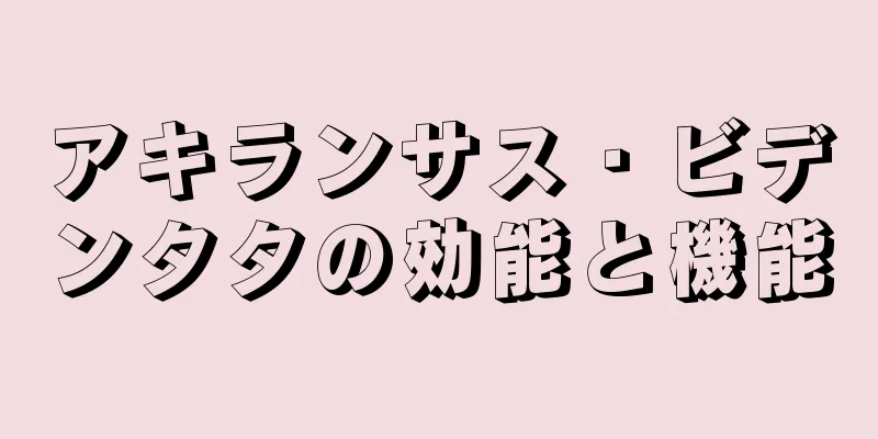 アキランサス・ビデンタタの効能と機能
