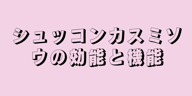 シュッコンカスミソウの効能と機能