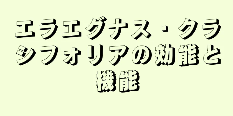 エラエグナス・クラシフォリアの効能と機能