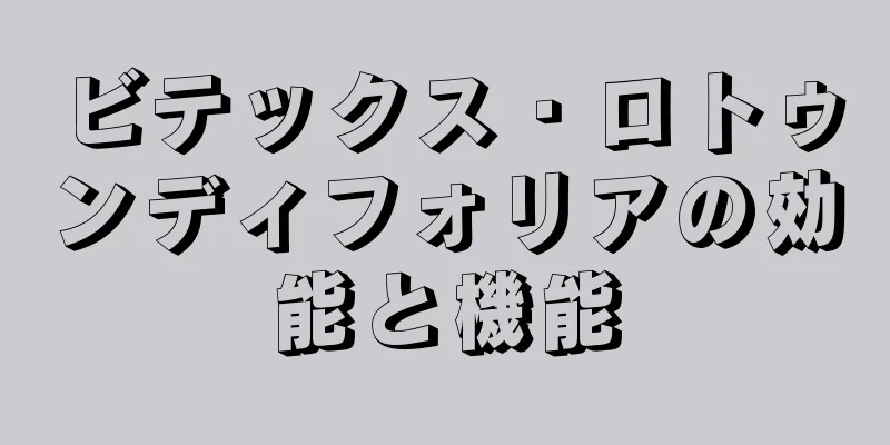 ビテックス・ロトゥンディフォリアの効能と機能