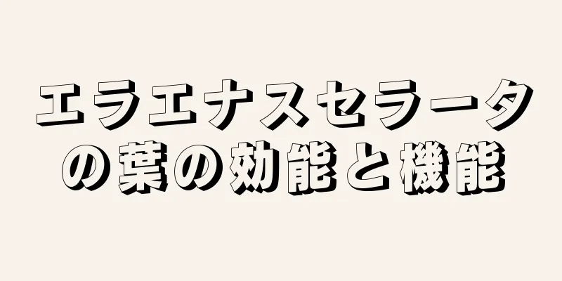 エラエナスセラータの葉の効能と機能