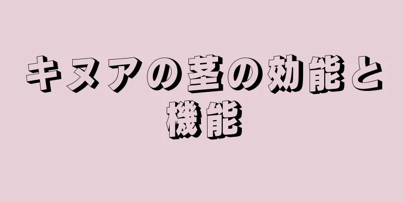 キヌアの茎の効能と機能