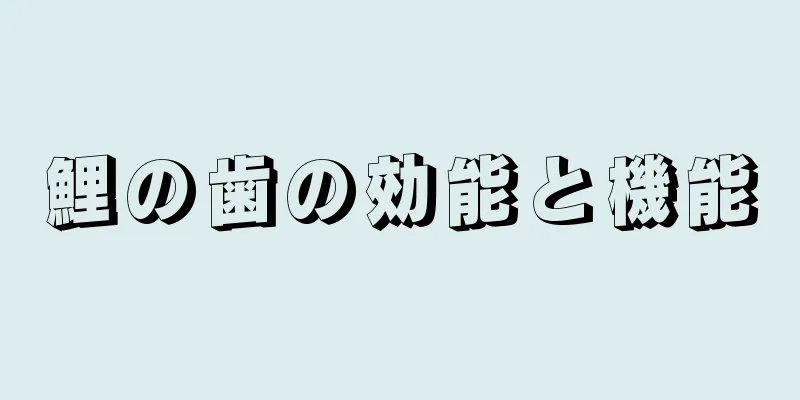 鯉の歯の効能と機能