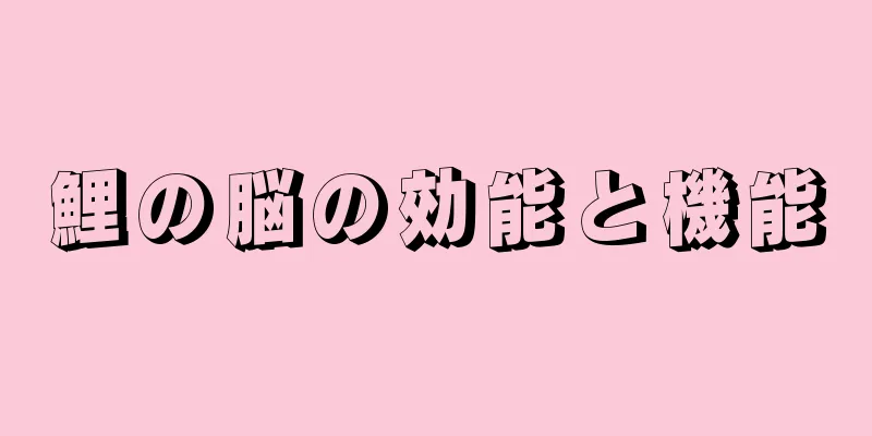 鯉の脳の効能と機能