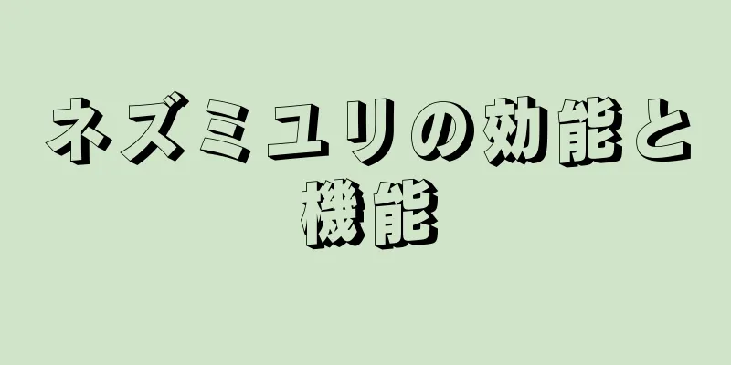 ネズミユリの効能と機能