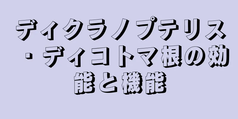 ディクラノプテリス・ディコトマ根の効能と機能