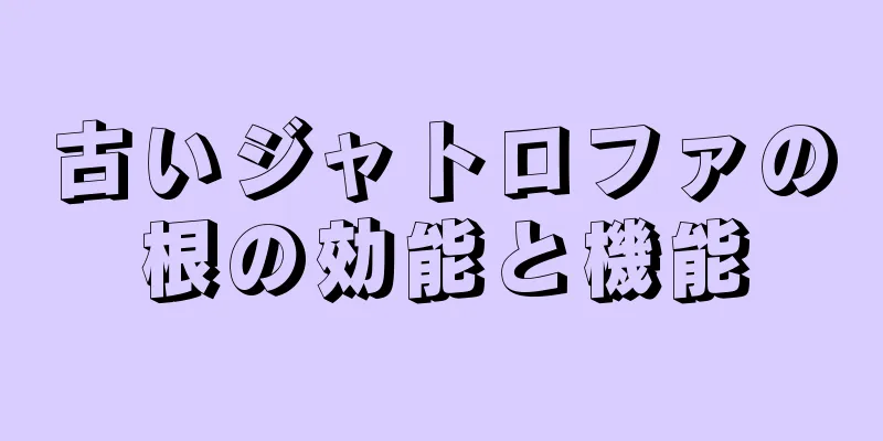 古いジャトロファの根の効能と機能