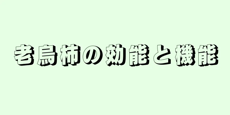 老烏柿の効能と機能