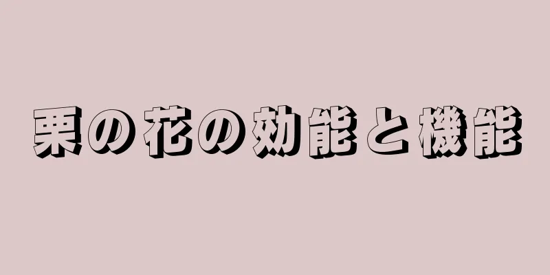 栗の花の効能と機能