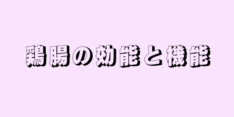 鶏腸の効能と機能