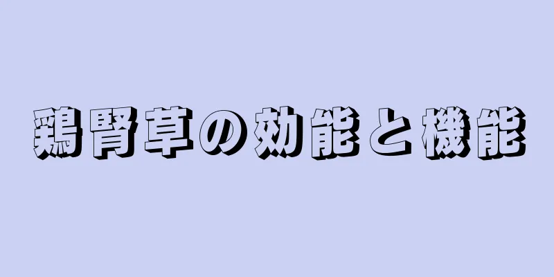 鶏腎草の効能と機能