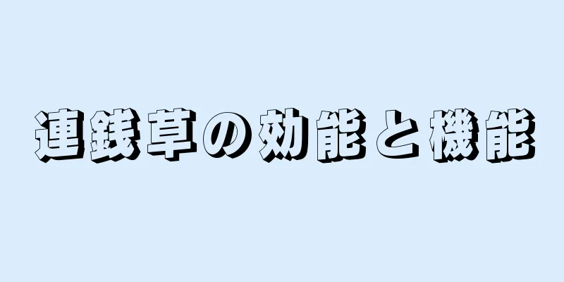 連銭草の効能と機能