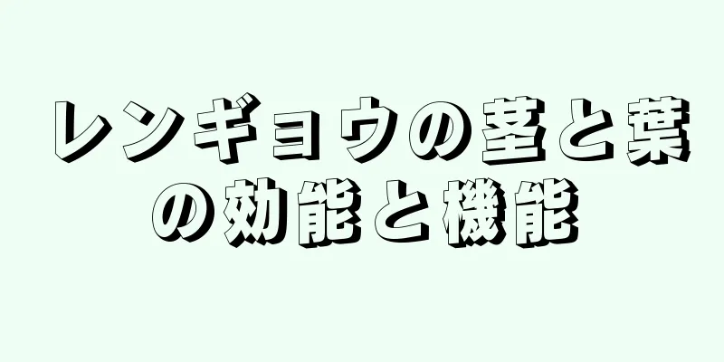 レンギョウの茎と葉の効能と機能