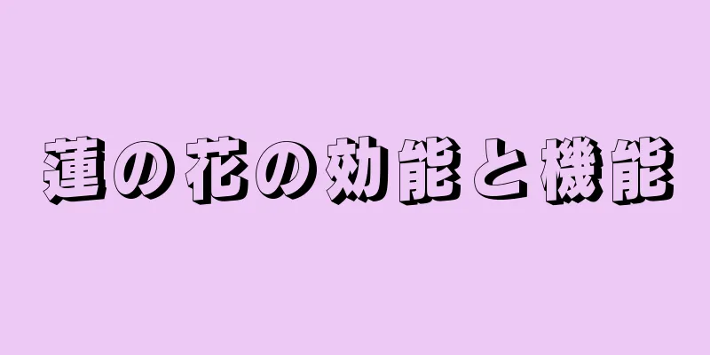 蓮の花の効能と機能