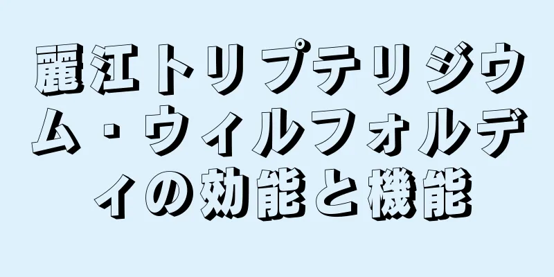麗江トリプテリジウム・ウィルフォルディの効能と機能