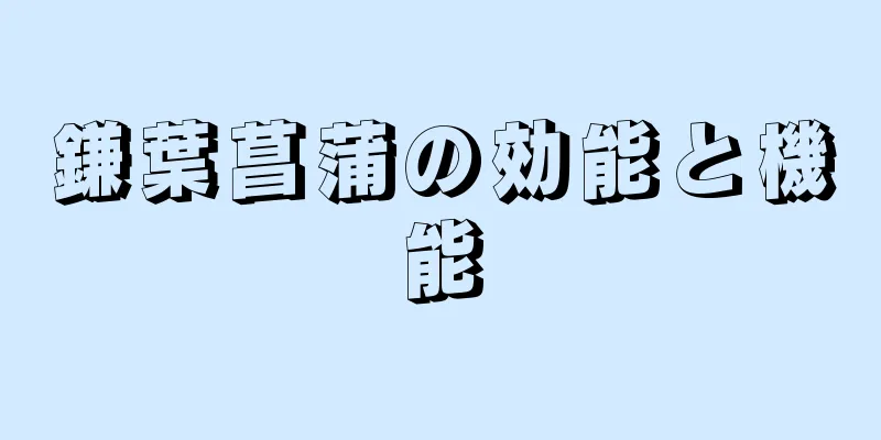 鎌葉菖蒲の効能と機能