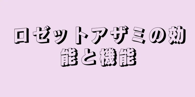 ロゼットアザミの効能と機能