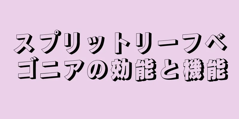 スプリットリーフベゴニアの効能と機能