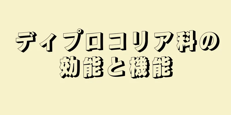 ディプロコリア科の効能と機能