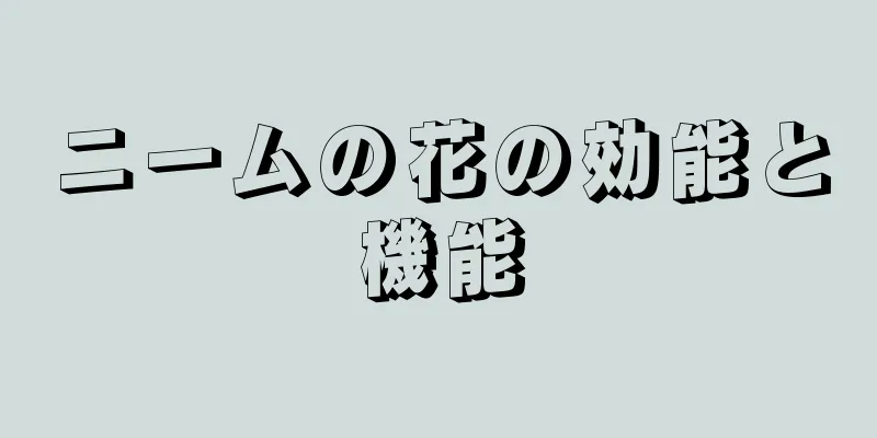 ニームの花の効能と機能