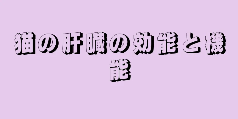 猫の肝臓の効能と機能