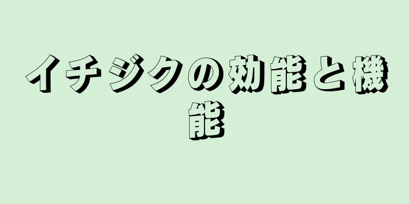 イチジクの効能と機能