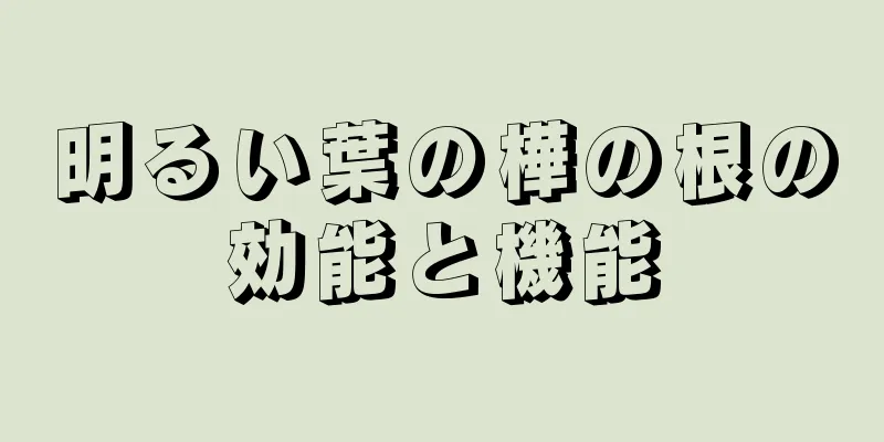 明るい葉の樺の根の効能と機能