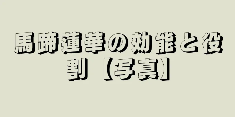 馬蹄蓮華の効能と役割【写真】