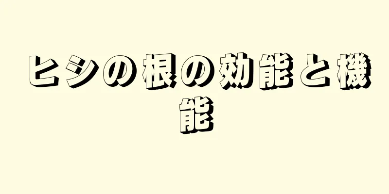 ヒシの根の効能と機能