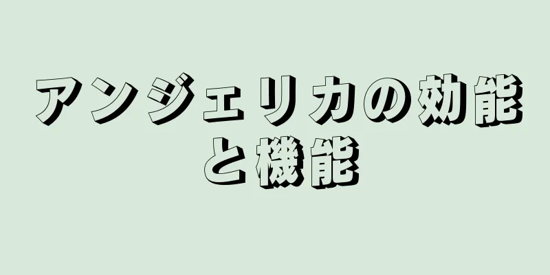アンジェリカの効能と機能
